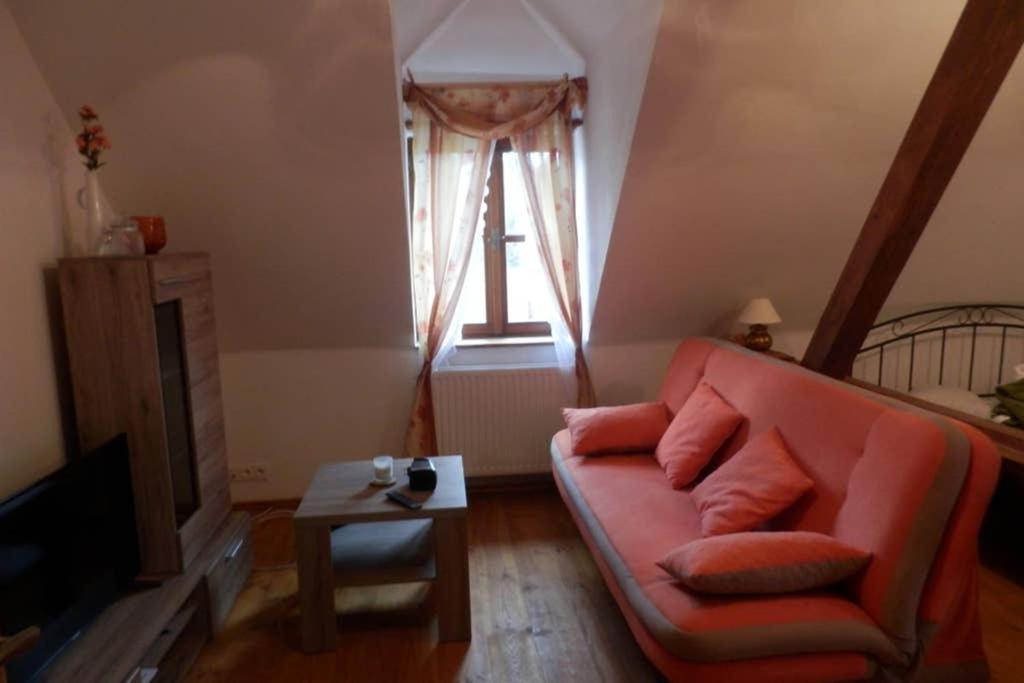 Zamecek Zdiky - Moderni Velky Apartman Bujanov Extérieur photo